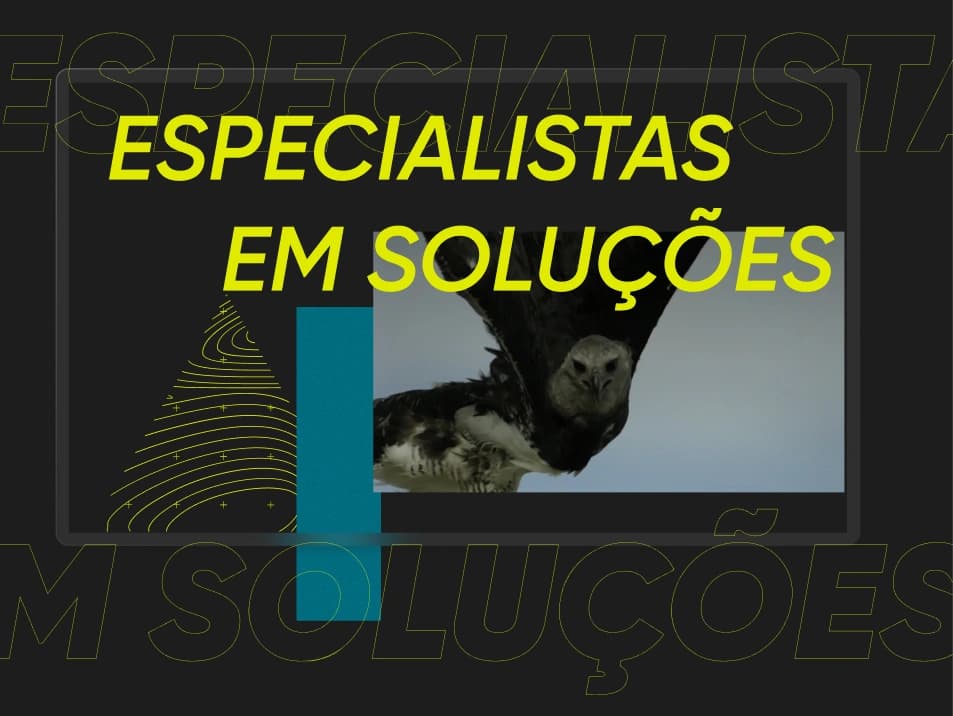 Harpia Consultoria — imagem 1 — Matilha Estúdio